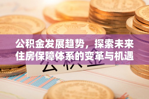 淮上公积金发展趋势，探索未来住房保障体系的变革与机遇