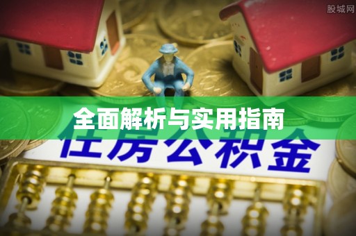 淮上全面解析与实用指南