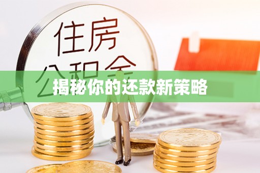 淮上揭秘你的还款新策略