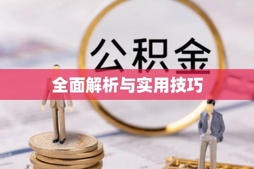 淮上全面解析与实用技巧