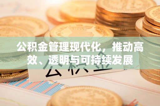 淮上公积金管理现代化，推动高效、透明与可持续发展