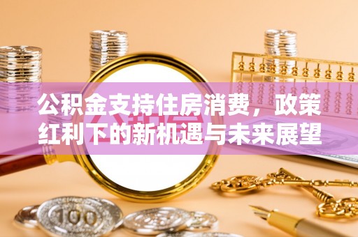 淮上公积金支持住房消费，政策红利下的新机遇与未来展望
