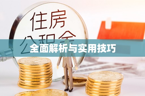 淮上全面解析与实用技巧