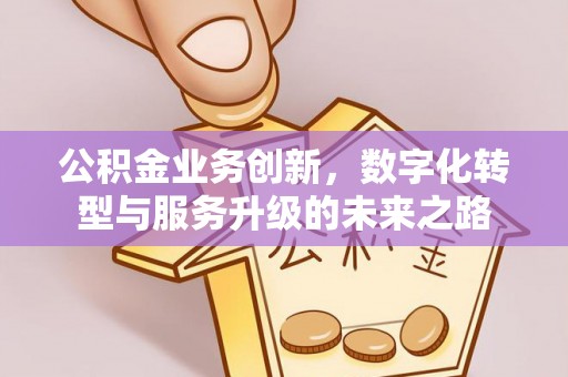 淮上公积金业务创新，数字化转型与服务升级的未来之路