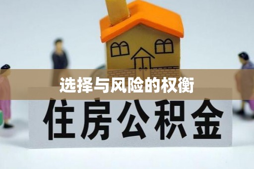 淮上选择与风险的权衡