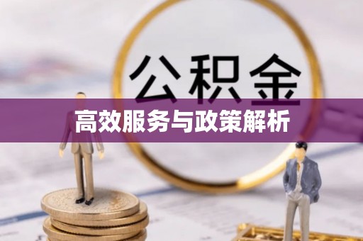 淮上高效服务与政策解析