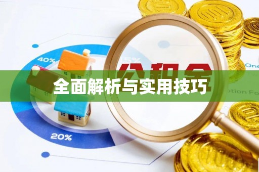 淮上全面解析与实用技巧