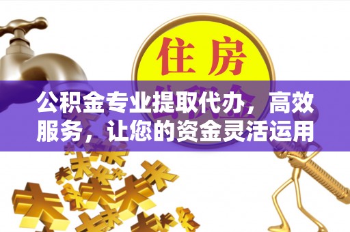 淮上公积金专业提取代办，高效服务，让您的资金灵活运用