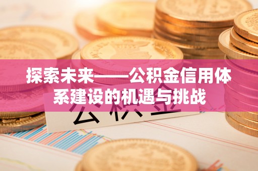淮上探索未来——公积金信用体系建设的机遇与挑战