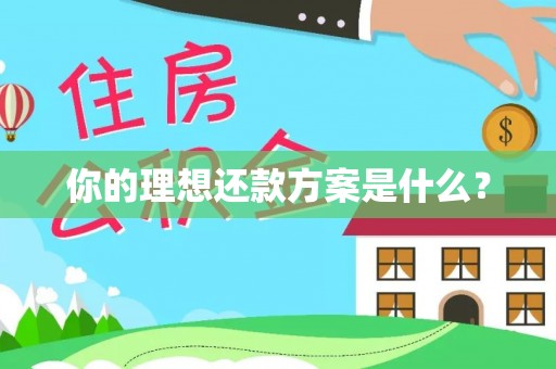淮上你的理想还款方案是什么？