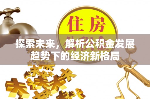 淮上探索未来，解析公积金发展趋势下的经济新格局