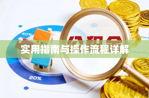 淮上实用指南与操作流程详解