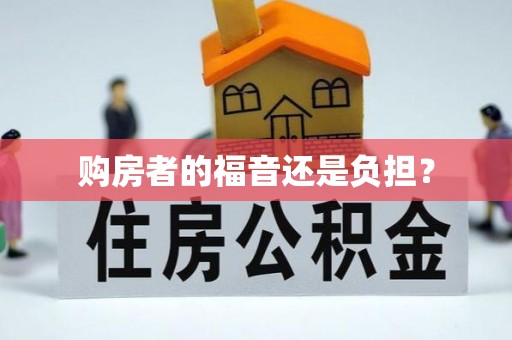 淮上购房者的福音还是负担？