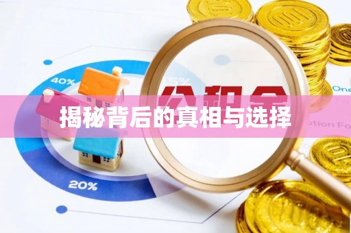 淮上揭秘背后的真相与选择
