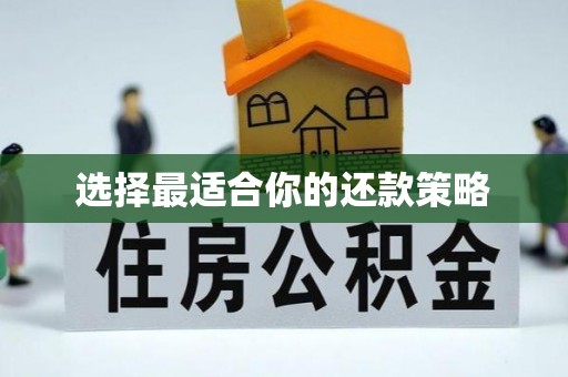 淮上选择最适合你的还款策略