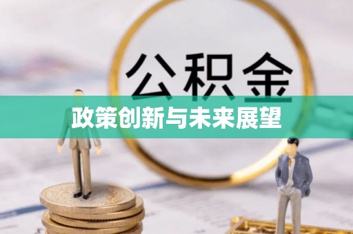 淮上政策创新与未来展望