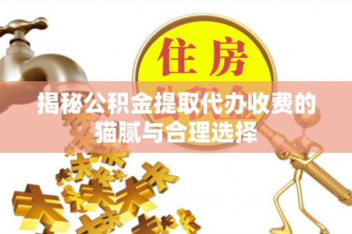 淮上揭秘公积金提取代办收费的猫腻与合理选择