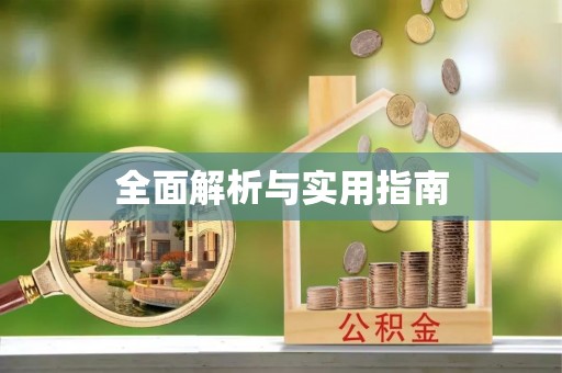 淮上全面解析与实用指南