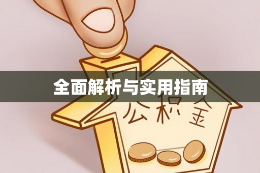 淮上全面解析与实用指南
